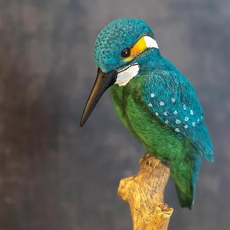 Διαμέρισμα Sapphire Rogowo Pearl *