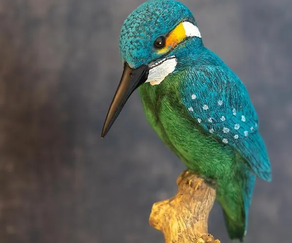 アパート Sapphire Rogowo Pearl *